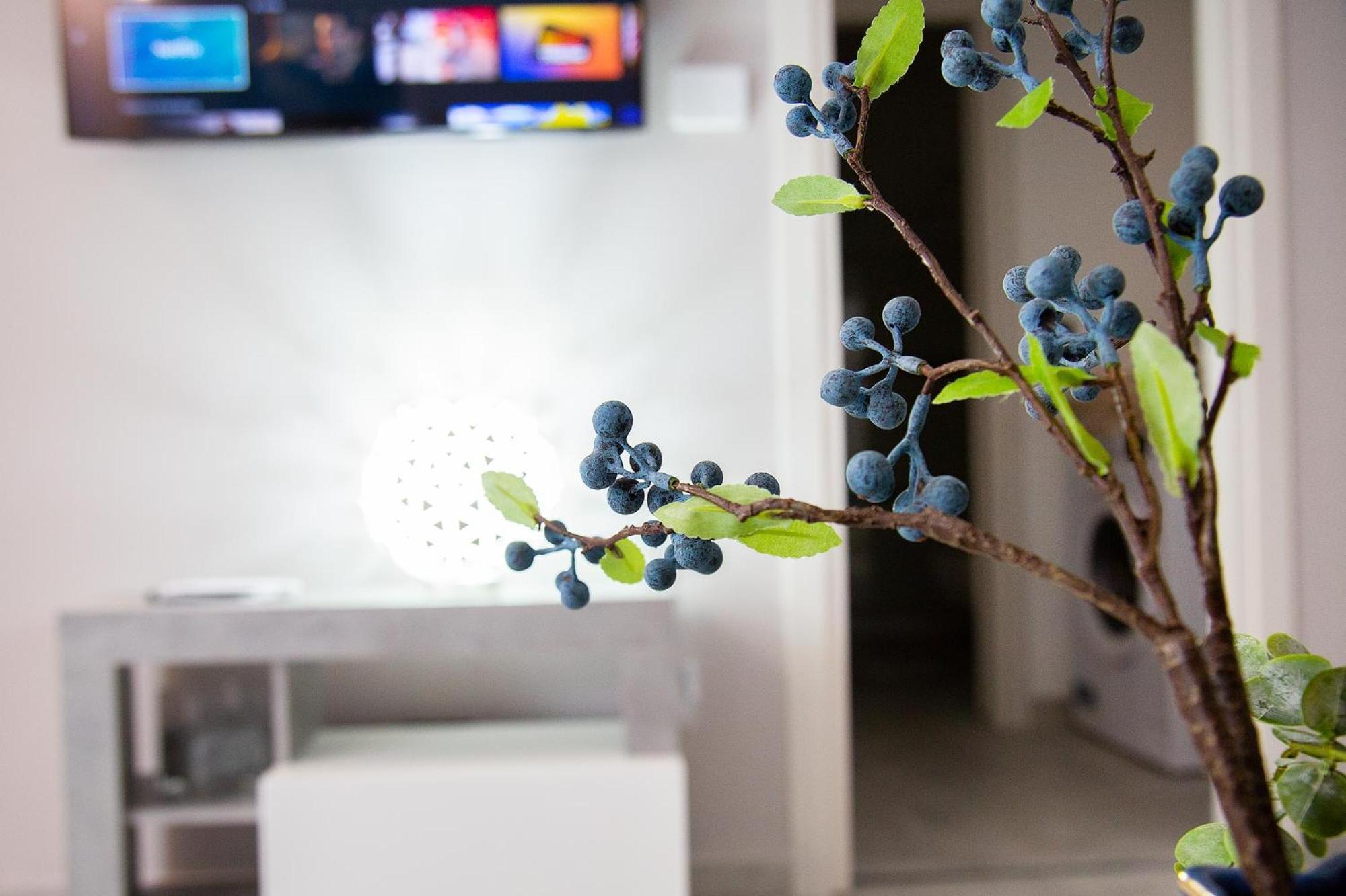 Claretta Apartman Giaveno Kültér fotó